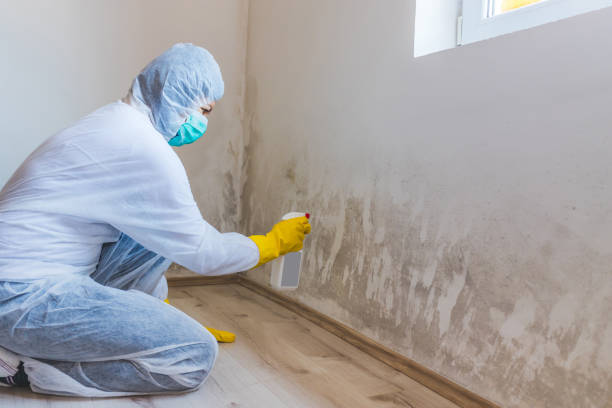 Bathroom Mold Removal assessment in Spring Lake bathroom
